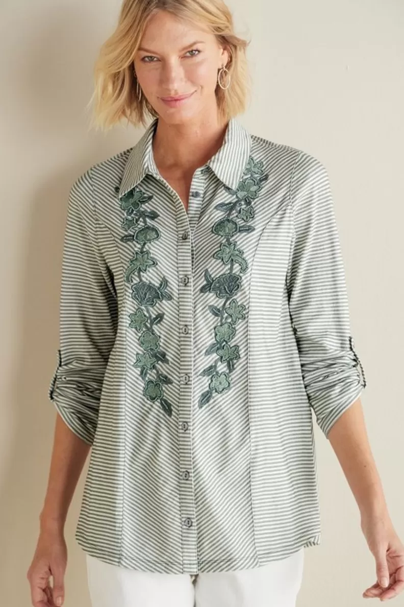 Soft Surroundings Anisa Tunic GreenMilieuStripe Outlet
